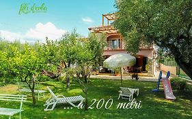 Fili d'Erba Cilento